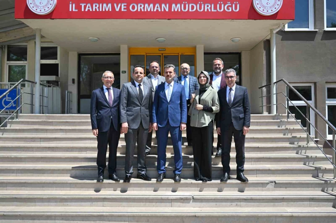 Endüstriyel yemek sektörü, ruhsatsız üretim yapan işletmelerden rahatsız
