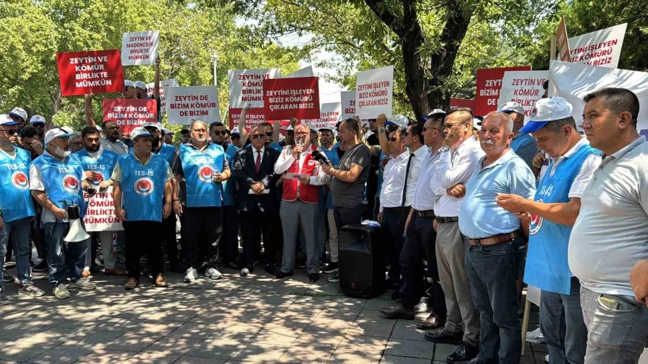 Enerji torba yasasından köylüye müjde çıktı: &quot;Taşınan zeytin ağacının iki katı kadar yeniden dikilecek&quot;
