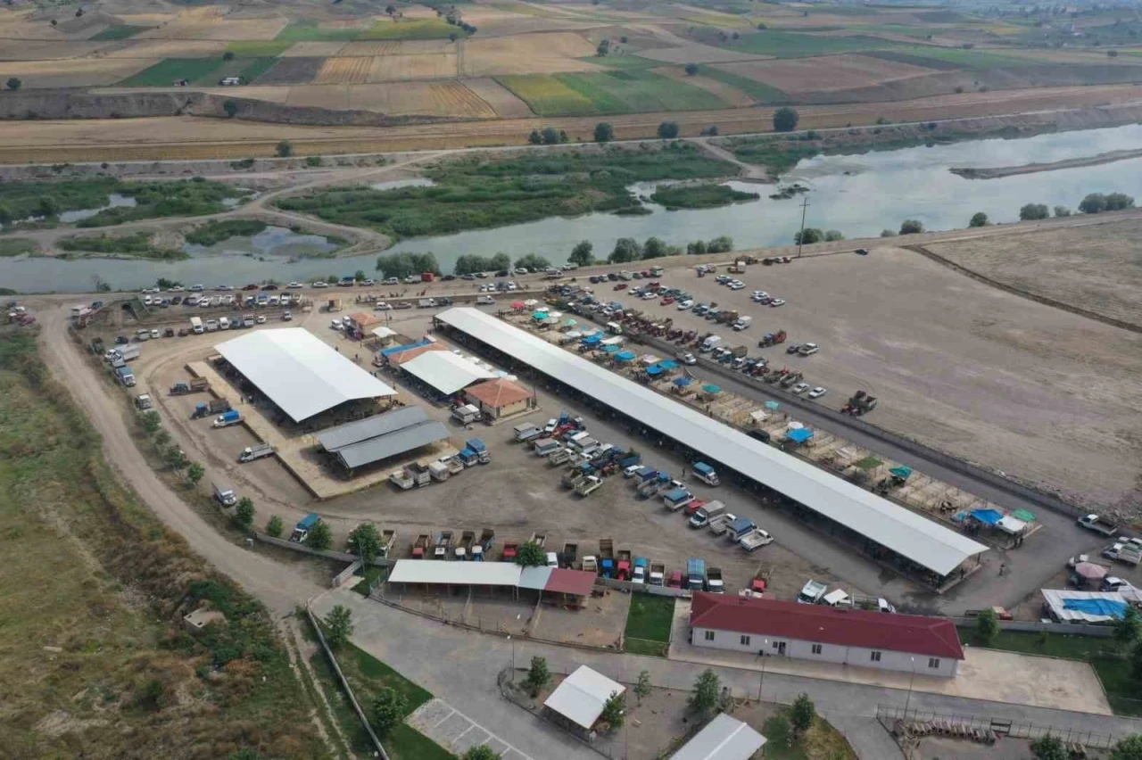 Erbaa&rsquo;da koyun &ccedil;i&ccedil;ek hastalığı nedeniyle hayvan pazarı kapatıldı
