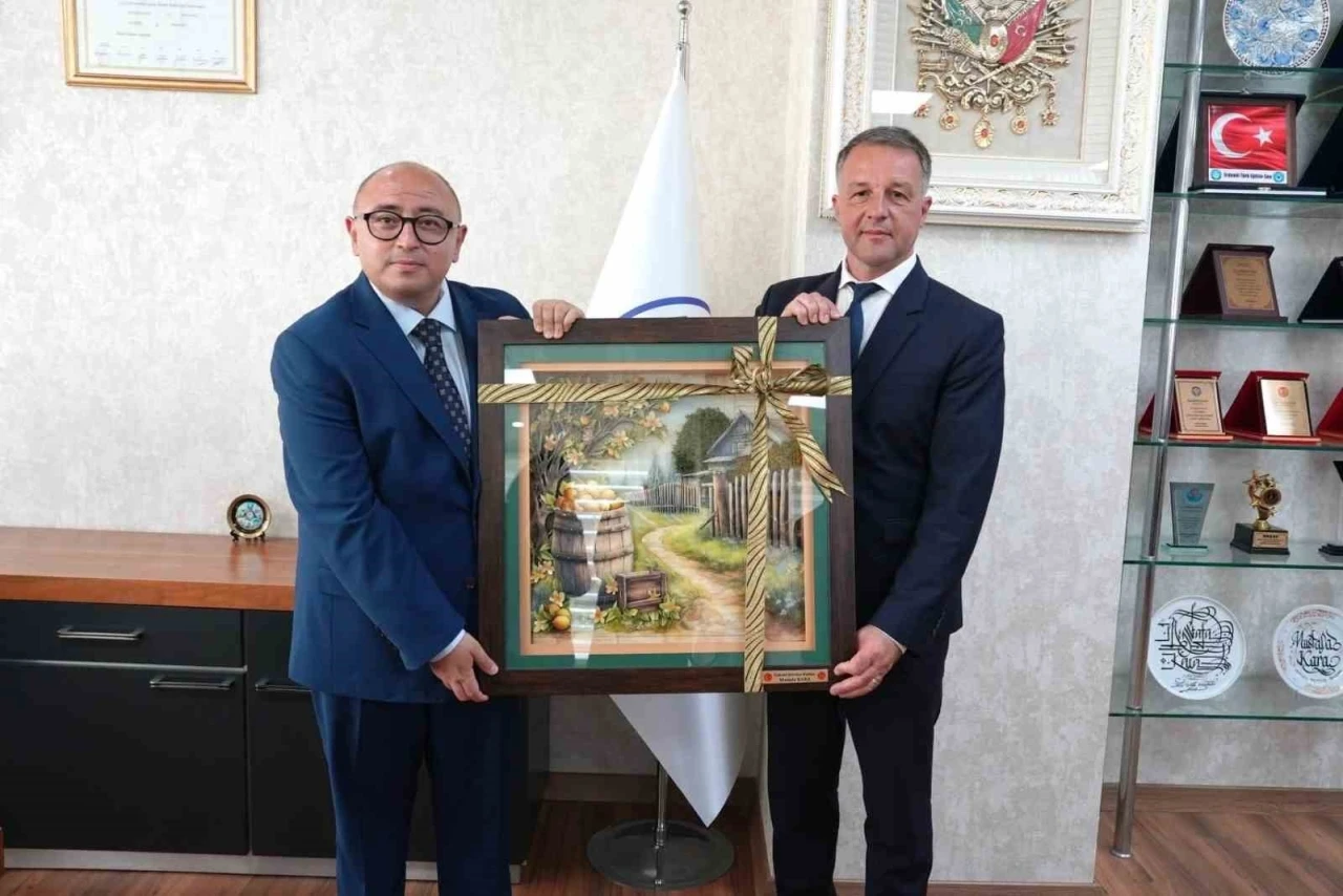 Erdemli ile Romanya&rsquo;nın Braila kenti kardeş şehir oldu
