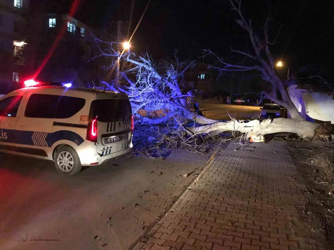 Ereğli&rsquo;de şiddetli r&uuml;zgar ağa&ccedil;ları devirdi, &ccedil;atıları u&ccedil;urdu
