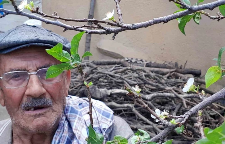 Erik mevsimleri şaşırdı, aynı yılda ikinci &uuml;r&uuml;n&uuml; veriyor
