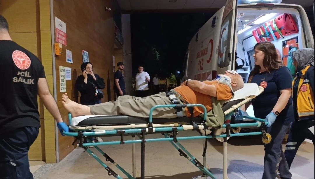 Erik toplamak i&ccedil;in &ccedil;ıktığı ağa&ccedil;tan d&uuml;şerek yaralandı
