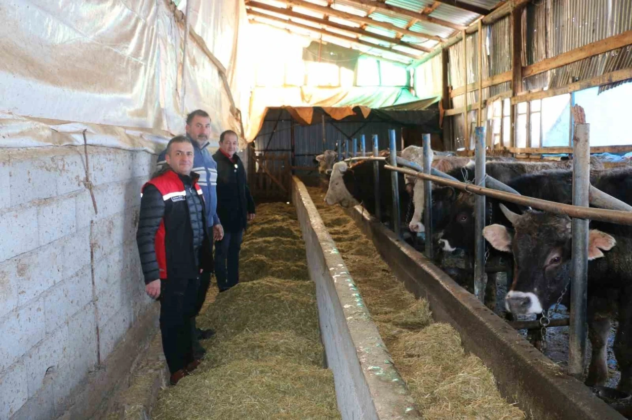 Erzincan&rsquo;da aile hayvancılık işletmeleri ziyaret edildi
