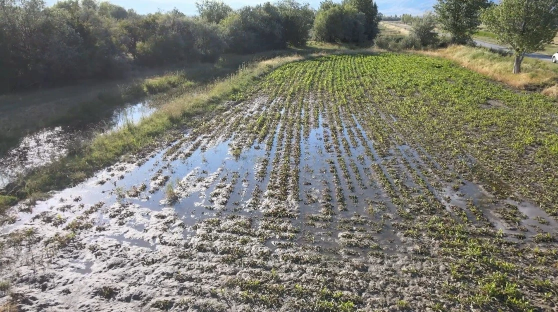 Erzincan’da çiftçilerin kanal isyanı: &quot;Bir senenin emeği sular altında kaldı&quot;
