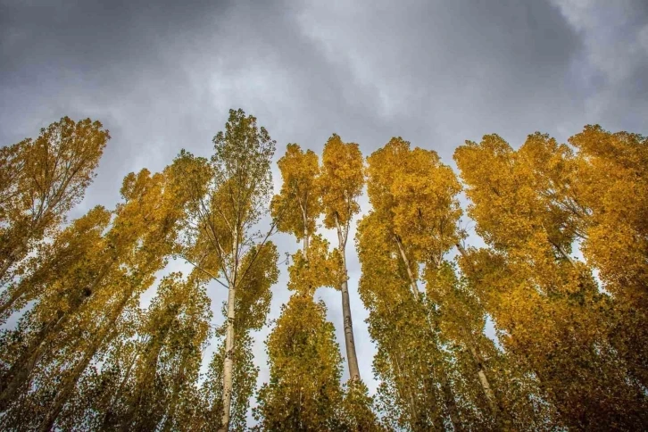 Erzincan&rsquo;da hazan mevsimi g&uuml;zelliği
