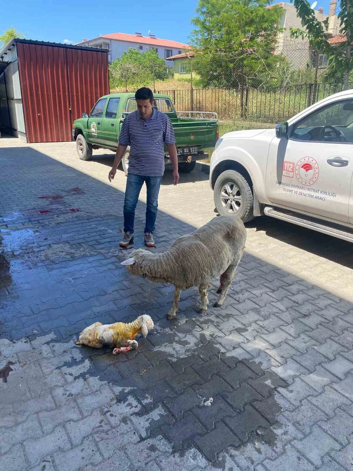 Erzincan&rsquo;da zamanla yarış mutlu sonla bitti
