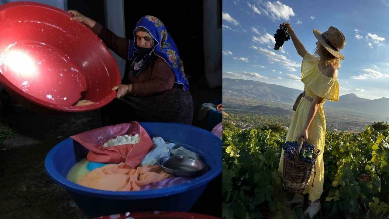 Erzincan Tulum Peyniri ve Cimin &Uuml;z&uuml;m&uuml; d&uuml;nya &ccedil;apında tescillendi
