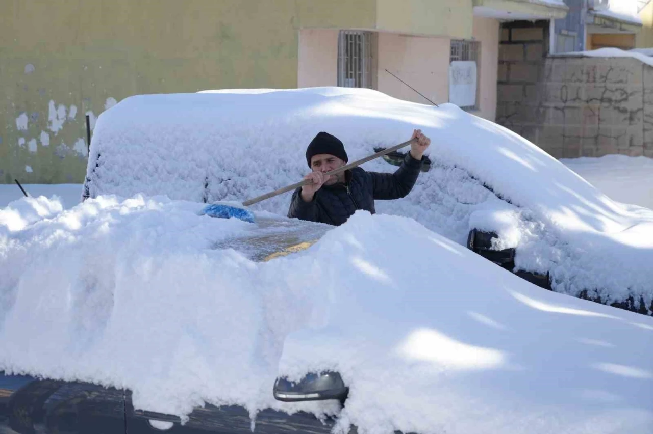 Erzurum beyaz &ouml;rt&uuml;s&uuml;ne b&uuml;r&uuml;nd&uuml;
