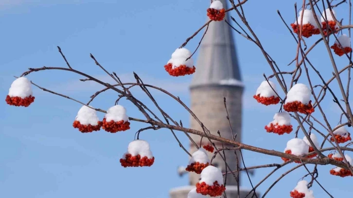 Erzurum hafta sonuna kadar kar yağışı bekleniyor