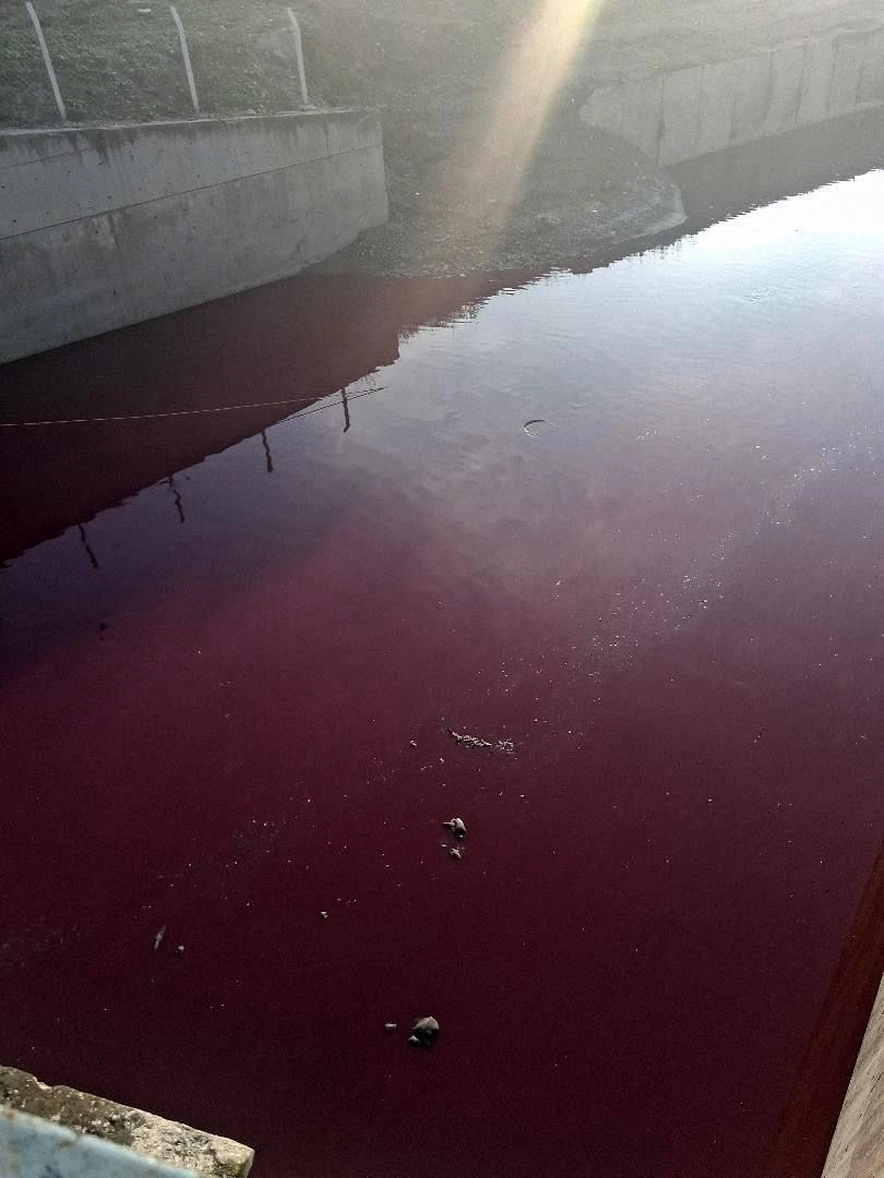 Esenyurt’ta derenin rengi kırmızıya döndü
