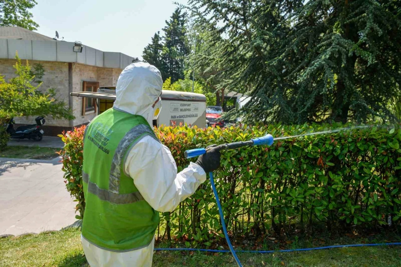 Esenyurt’ta haşerelere karşı kapsamlı mücadele
