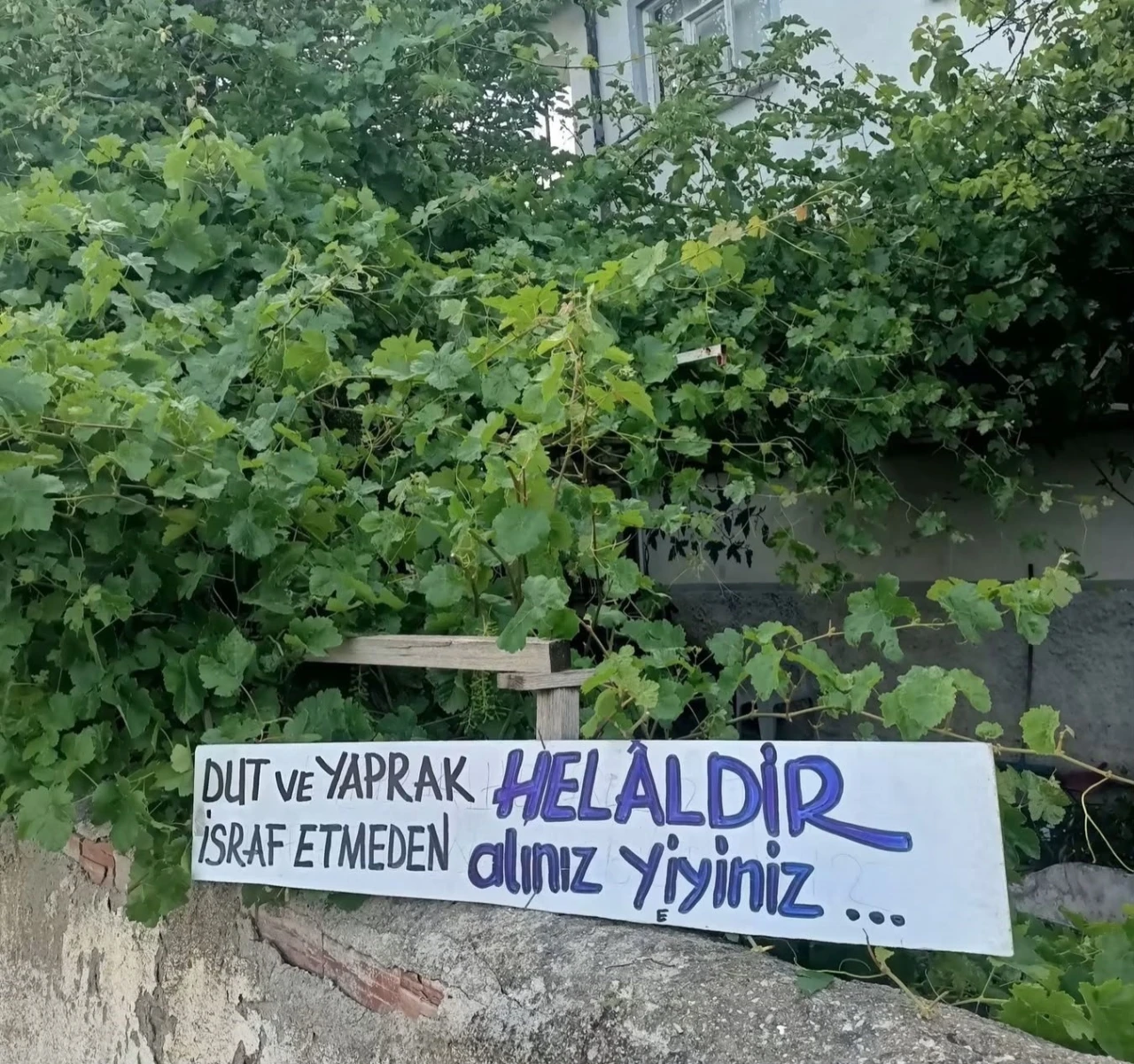 Eski belediye başkanından &ouml;rnek davranış
