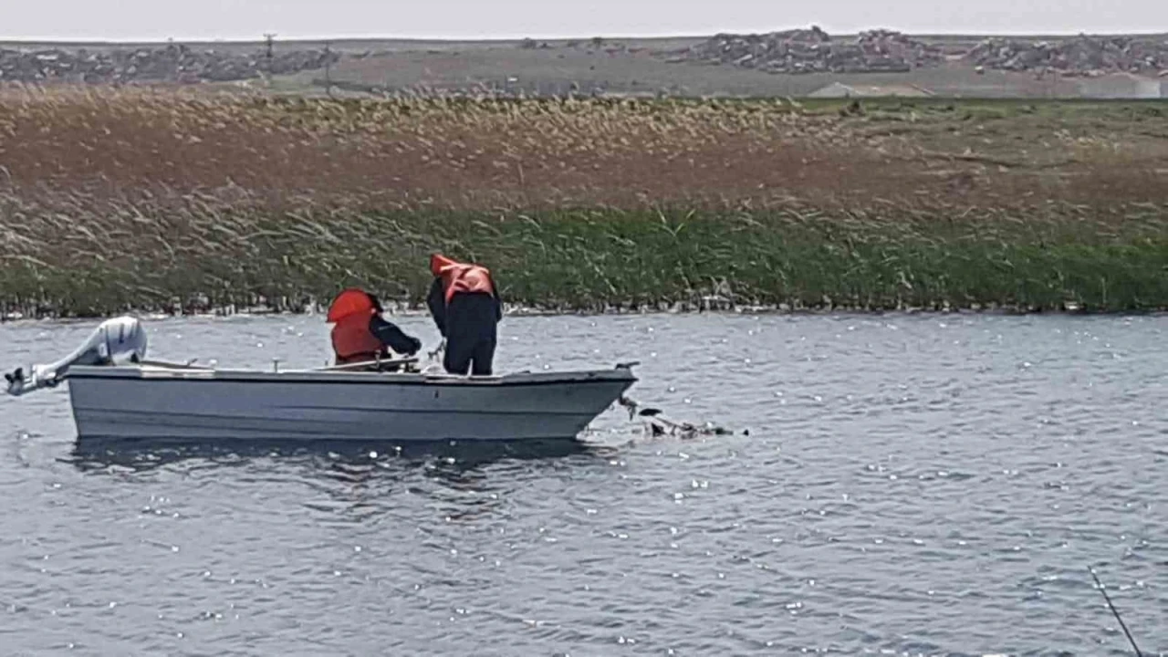 Eskişehir’de istilacı balık türleri ile mücadele
