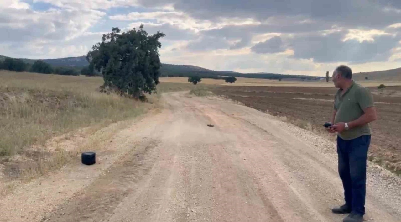 Eskişehir&rsquo;de kaybolan gebe inek dron ile aranıyor
