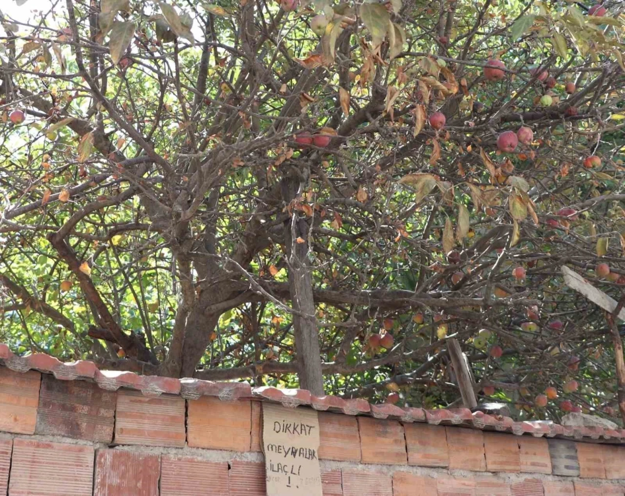 Eskişehir’de şaşırtan uyarı

