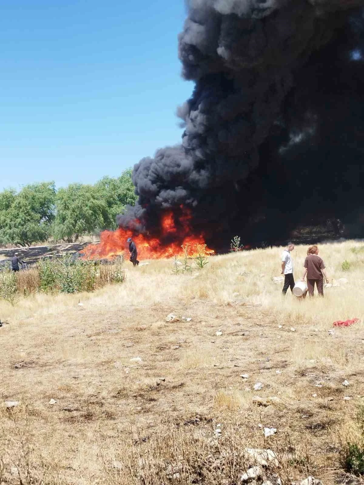 Eskişehir&rsquo;de sigara izmaritinin neden olduğu yangını k&ouml;yl&uuml;ler b&uuml;y&uuml;meden s&ouml;nd&uuml;rd&uuml;

