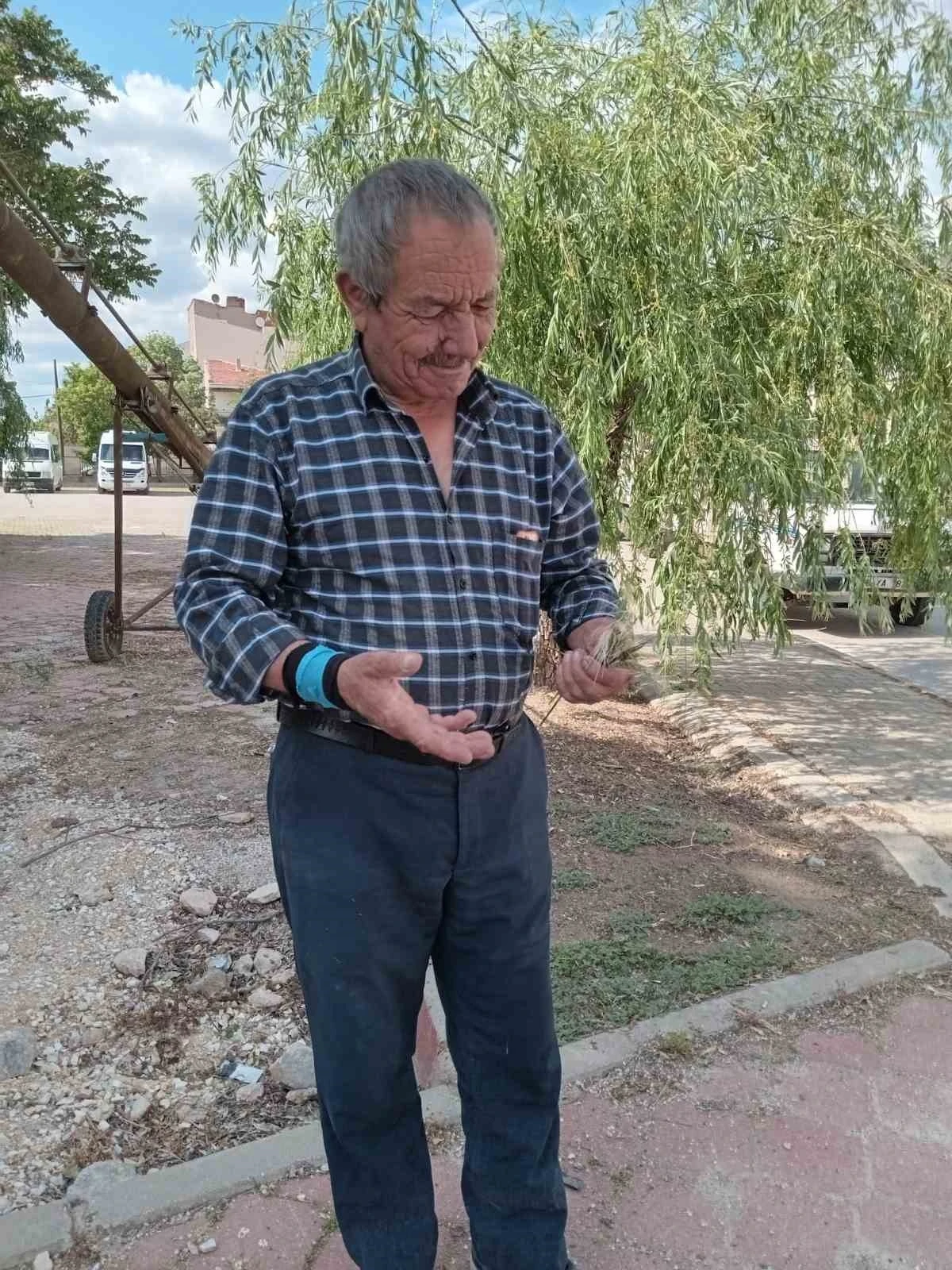 Eskişehir’de zirai don, buğday ve arpa üretimini vurdu
