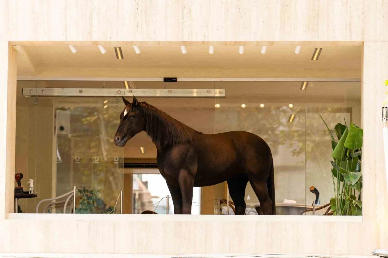 Espressolab, Jurassic Park teknolojisini şehirle buluşturdu
