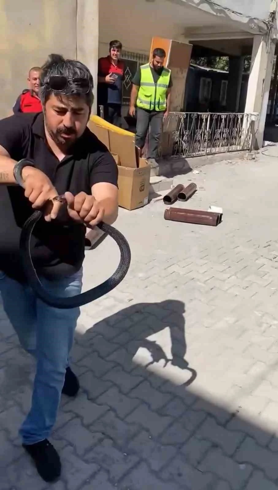 Eve giren yılanı yakalamak isterken parmağını kaptırdı
