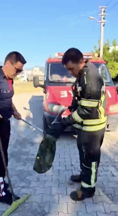 Evin bah&ccedil;esine giren yılan itfaiye ekiplerini peşinden koşturdu
