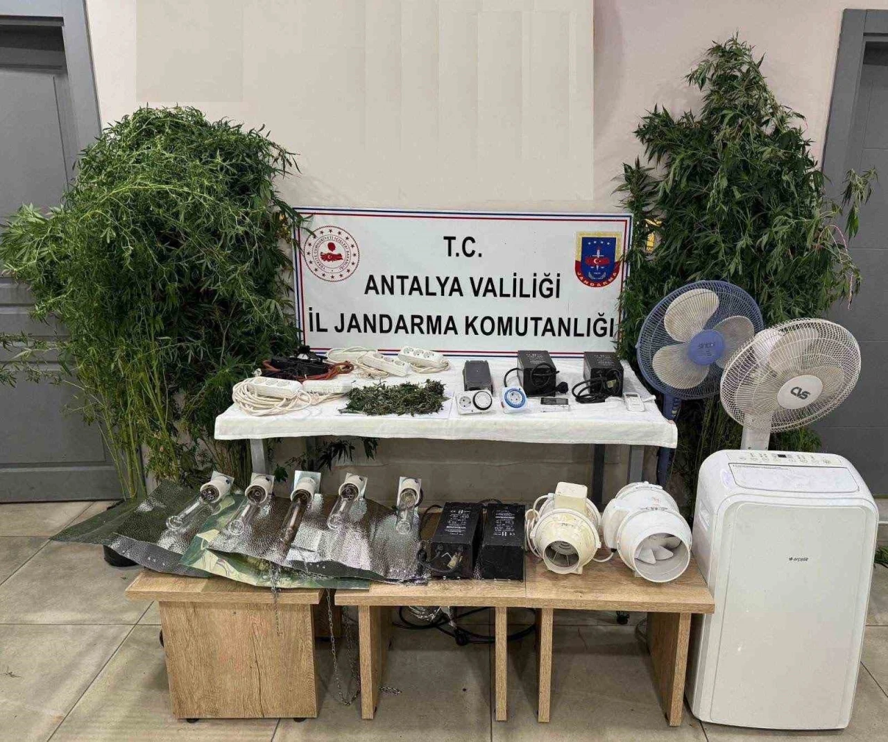 Evini uyuşturucu serasına çevirdi, kaçamadı
