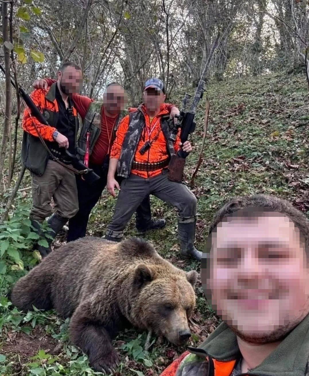 Evlere ve vatandaşlara zarar veren ayı için başlatılan av sonuç verdi, ilk ayı vuruldu

