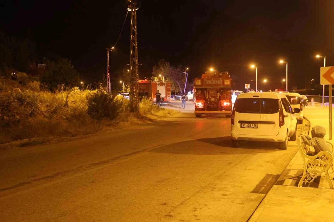 Evlilik teklifinde atılan havai fişekler ağaçlık alanda yangınına sebep oldu
