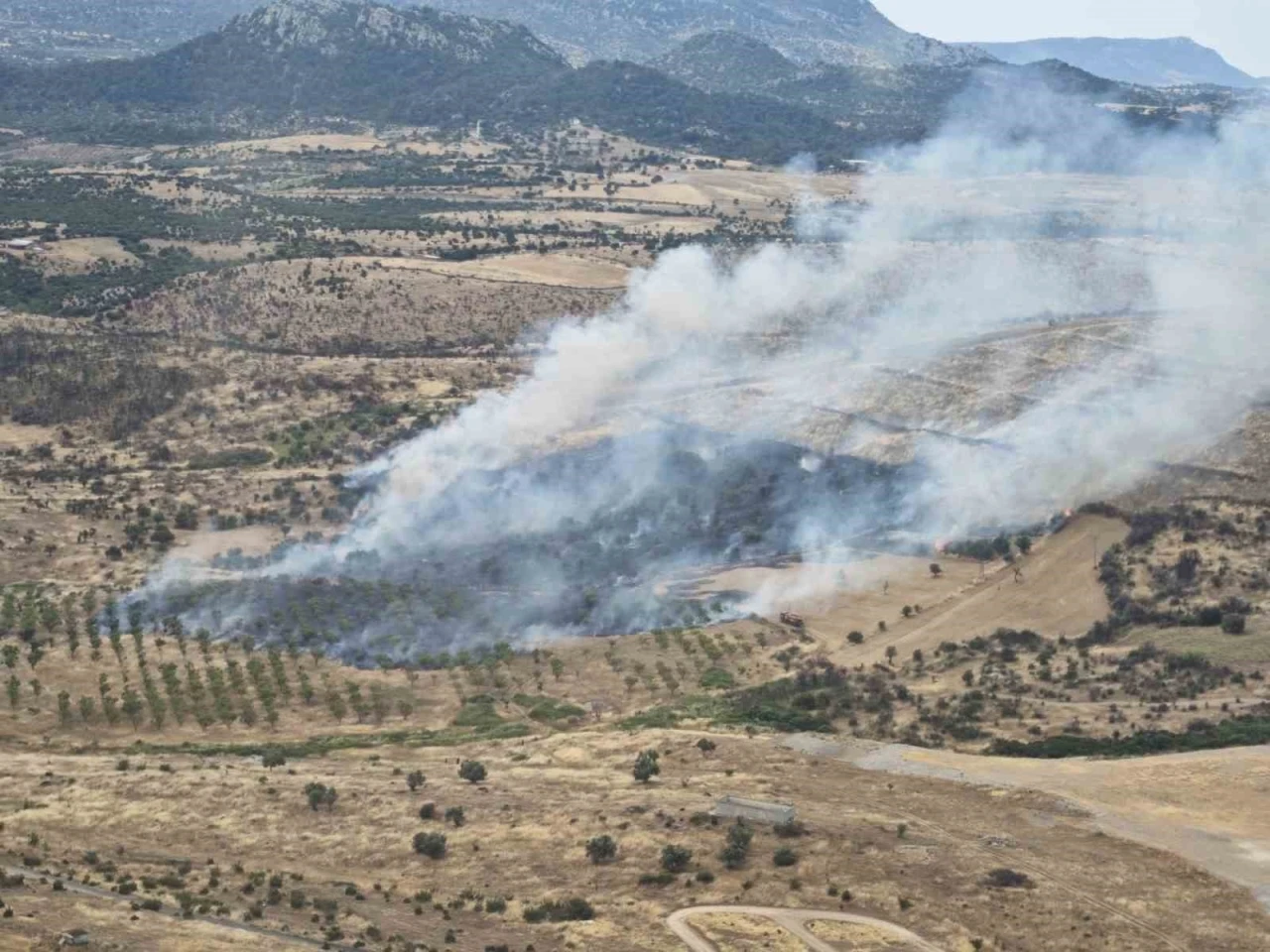Ezine&rsquo;de orman yangını kontrol altına alındı

