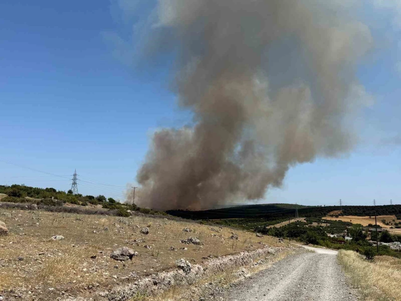 Ezine’de tarım arazisinde başlayan yangın ormanlık alana sıçradı
