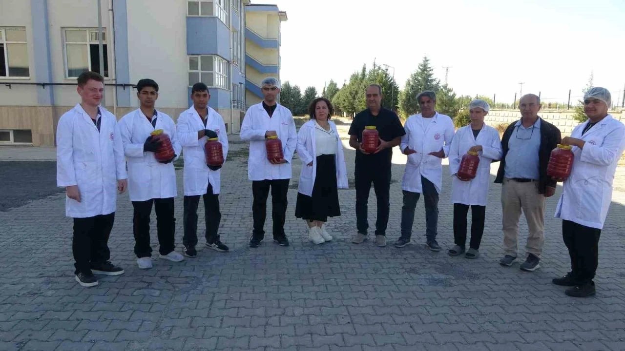 Fabrika gibi okul: Malatya’da öğrenciler domates yetiştirip salça üretiyor
