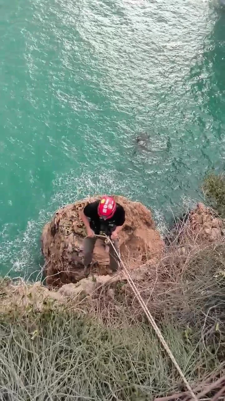 Falezlerde mahsur kalan kediyi film gibi operasyonla kurtardılar
