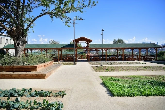 Fatih&rsquo;in tarımsal mirası Ayvansaray Bah&ccedil;e&rsquo;de birinci yıl etkinliği d&uuml;zenlendi
