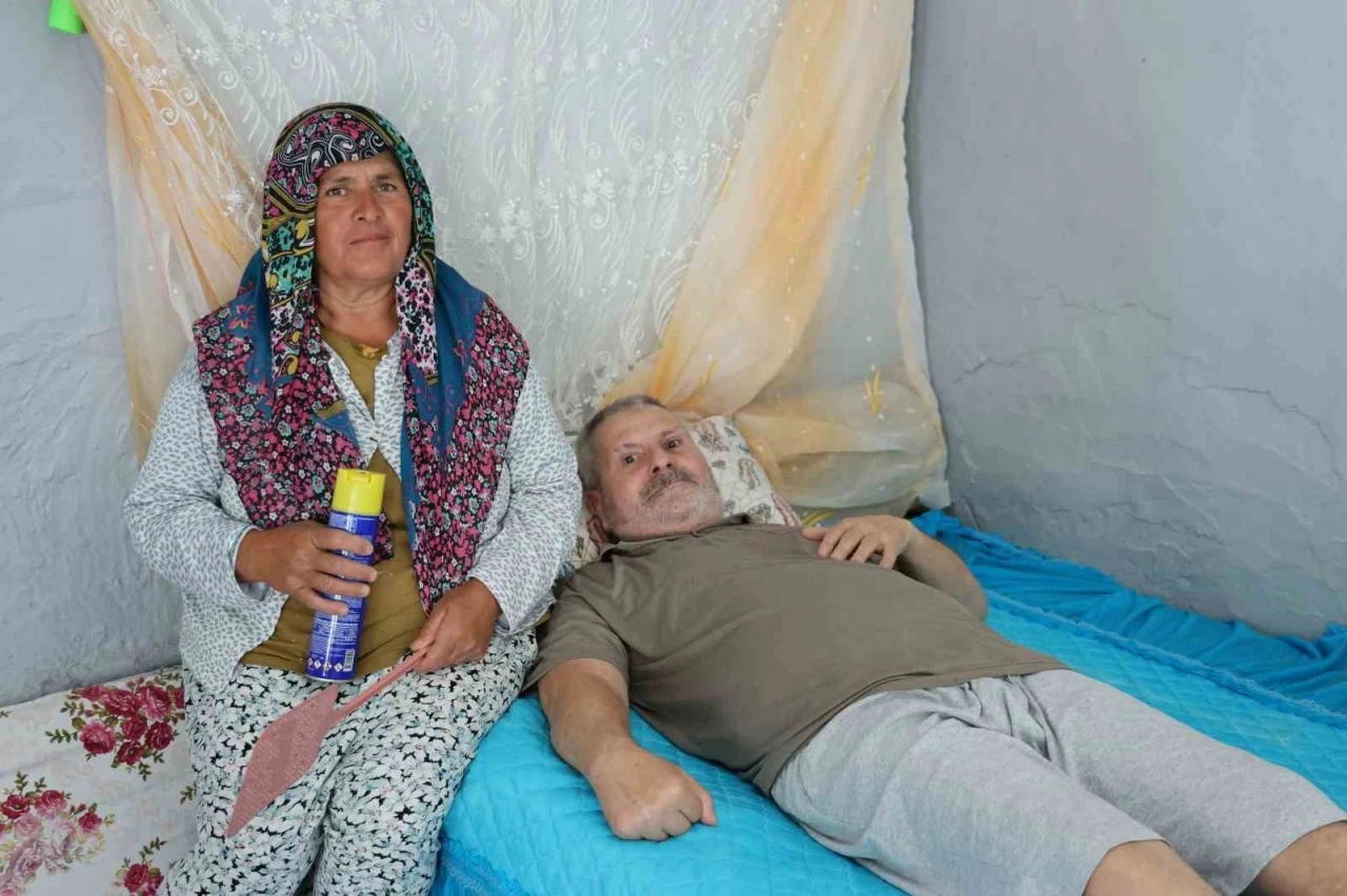 Fel&ccedil;li eşinin rahat etmesi i&ccedil;in başında sinek n&ouml;beti tutuyor
