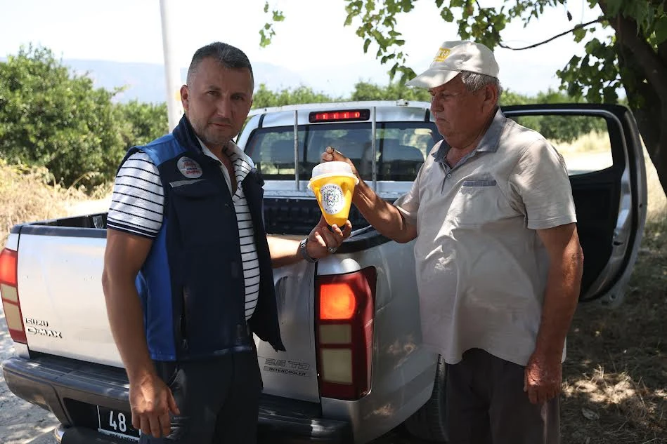 Feromon Tuzak Uygulaması Köyceğiz'de Başladı