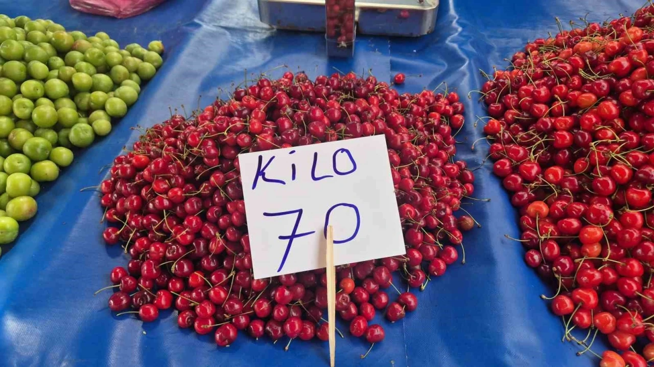 Festivalde 300 liraydı, pazarda 70 liraya d&uuml;şt&uuml;
