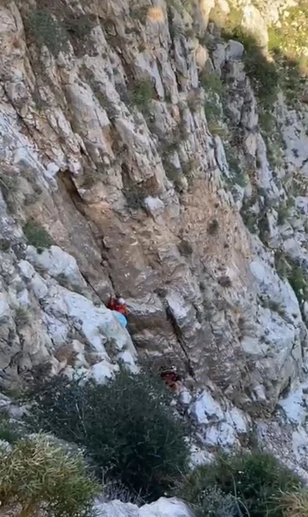 Fethiye&rsquo;de kayalıklarda mahsur kalan ke&ccedil;i kurtarıldı
