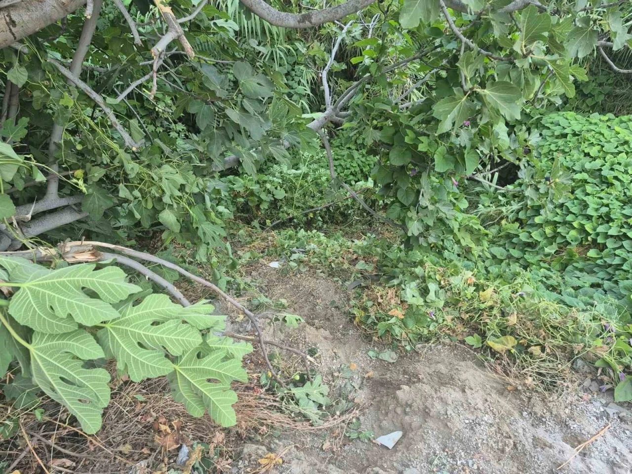 Fethiye’de kazada yaralanan genç, 123 günlük hayat mücadelesini kaybetti
