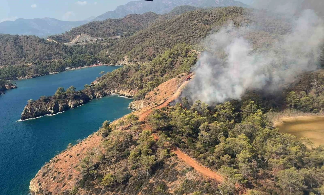 Fethiye’de orman yangını
