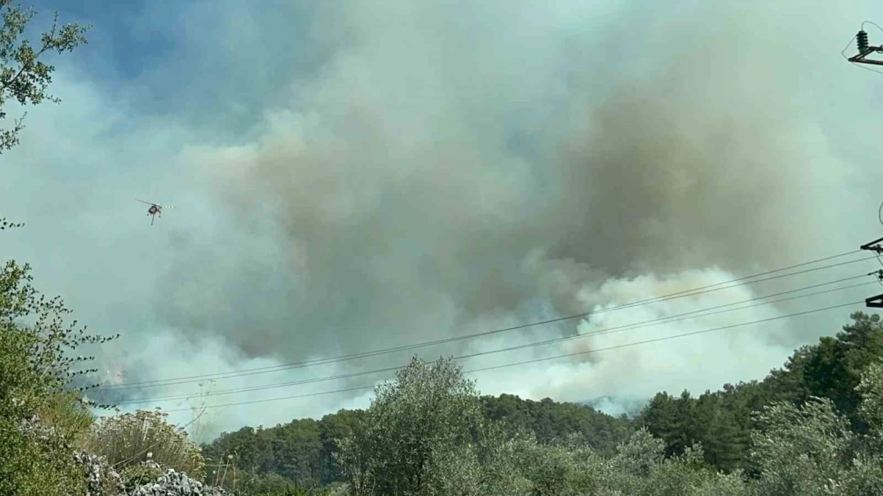Fethiye&rsquo;de orman yangınını s&ouml;nd&uuml;rmek i&ccedil;in ekipler seferber oldu
