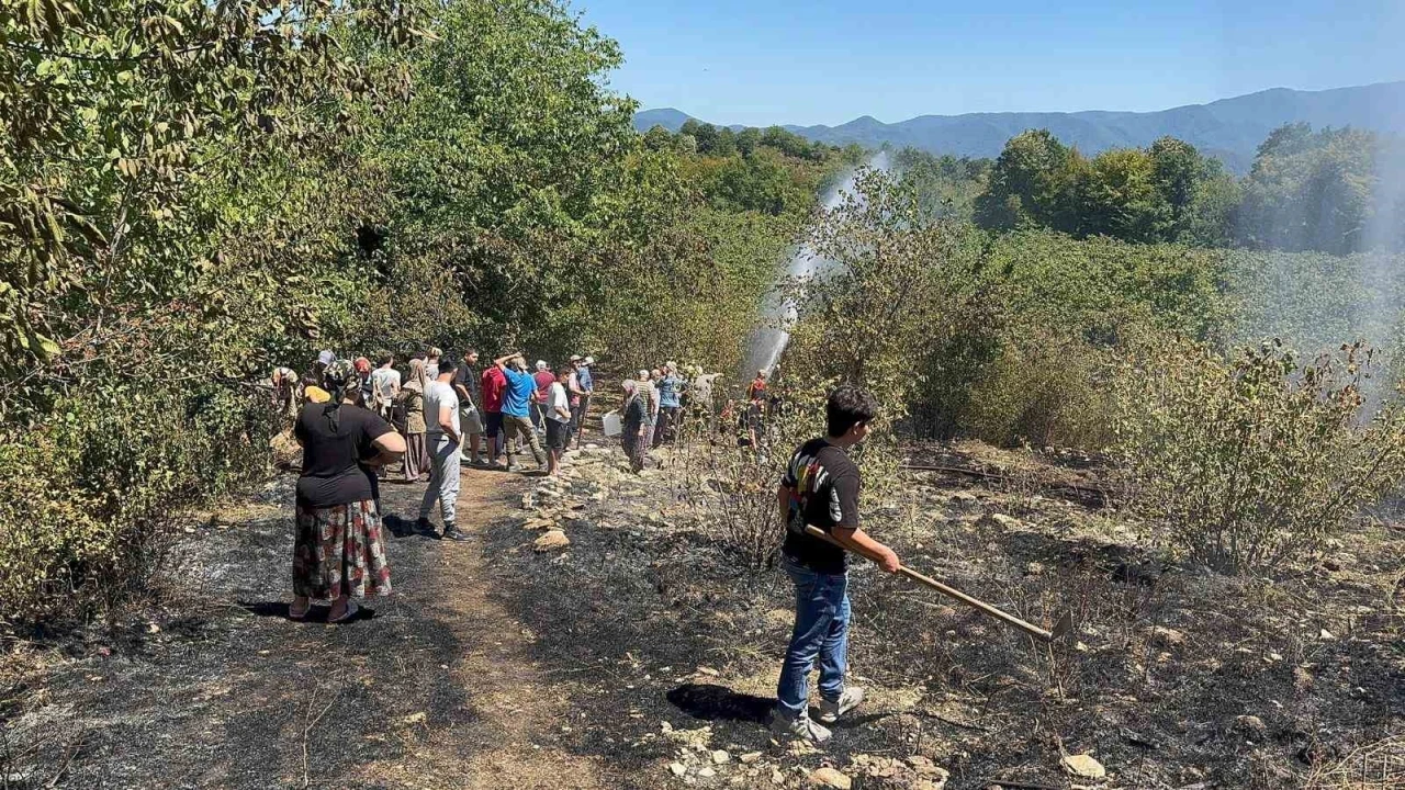 Fındık bahçesinde temizlerken bir dönüm alan zarar gördü
