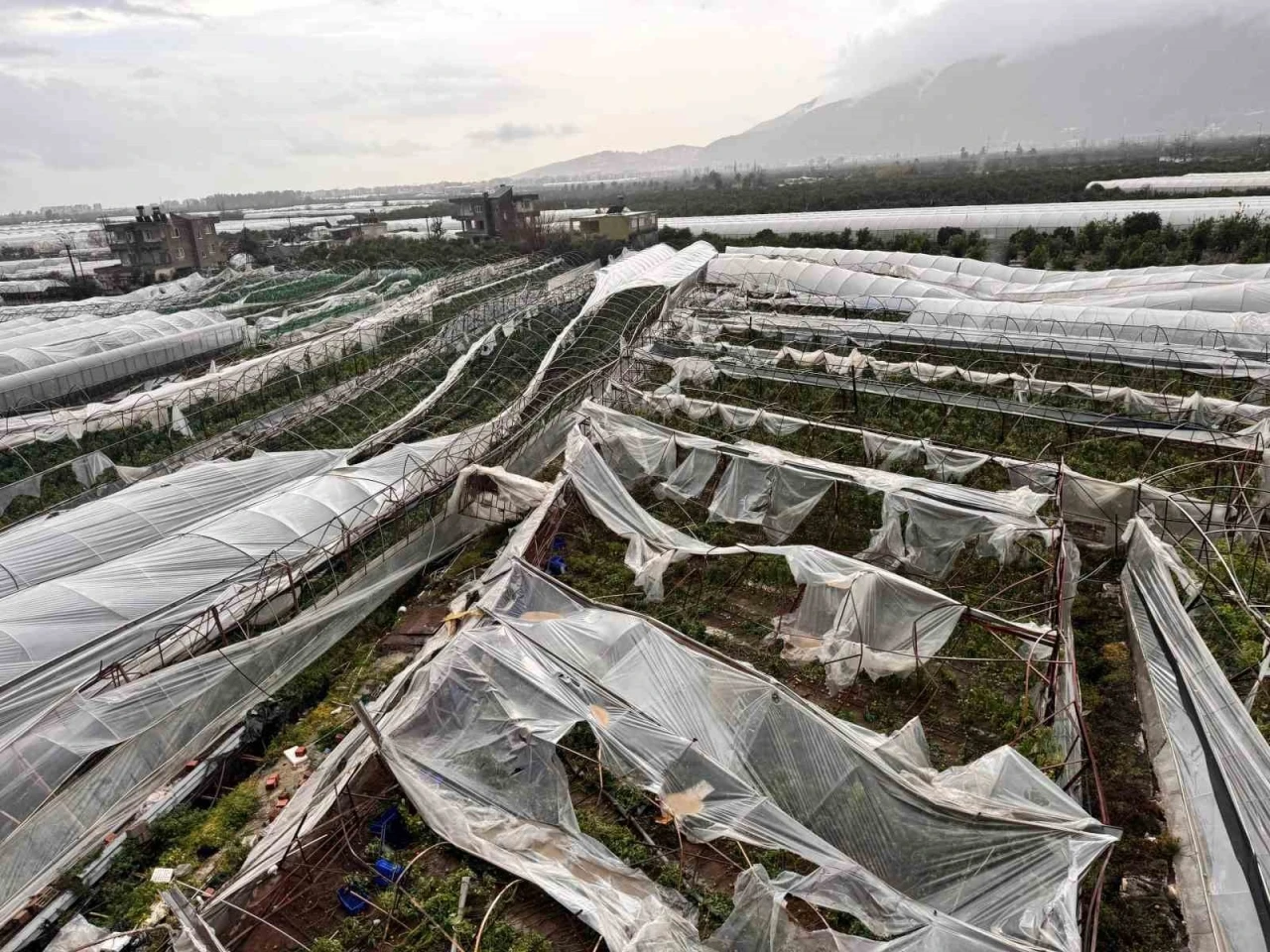 Finike&rsquo;de hortumun verdiği hasar g&uuml;nd&uuml;z ortaya &ccedil;ıktı
