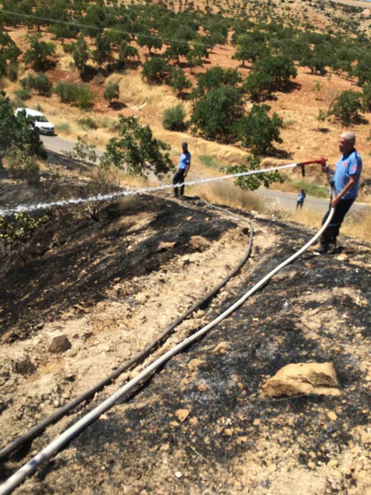 Fıstık tarlasındaki yangına m&uuml;dahale ederken hayatını kaybetti
