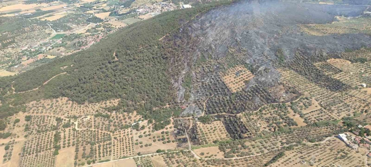 Foça’da ormanlık alanda çıkan yangın kontrol altında
