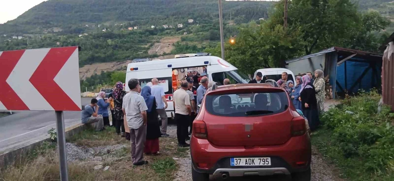 Freni tutmayan hafif ticari ara&ccedil;, anne ile iki &ccedil;ocuğuna &ccedil;arptı
