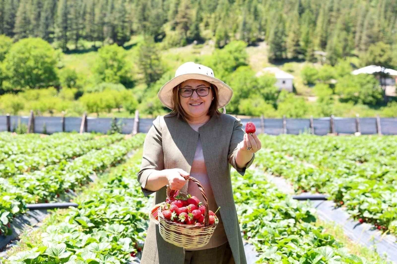 GAP Bölge Başkanlığı ile Huzur Yaylası Proje lansmanı düzenlendi
