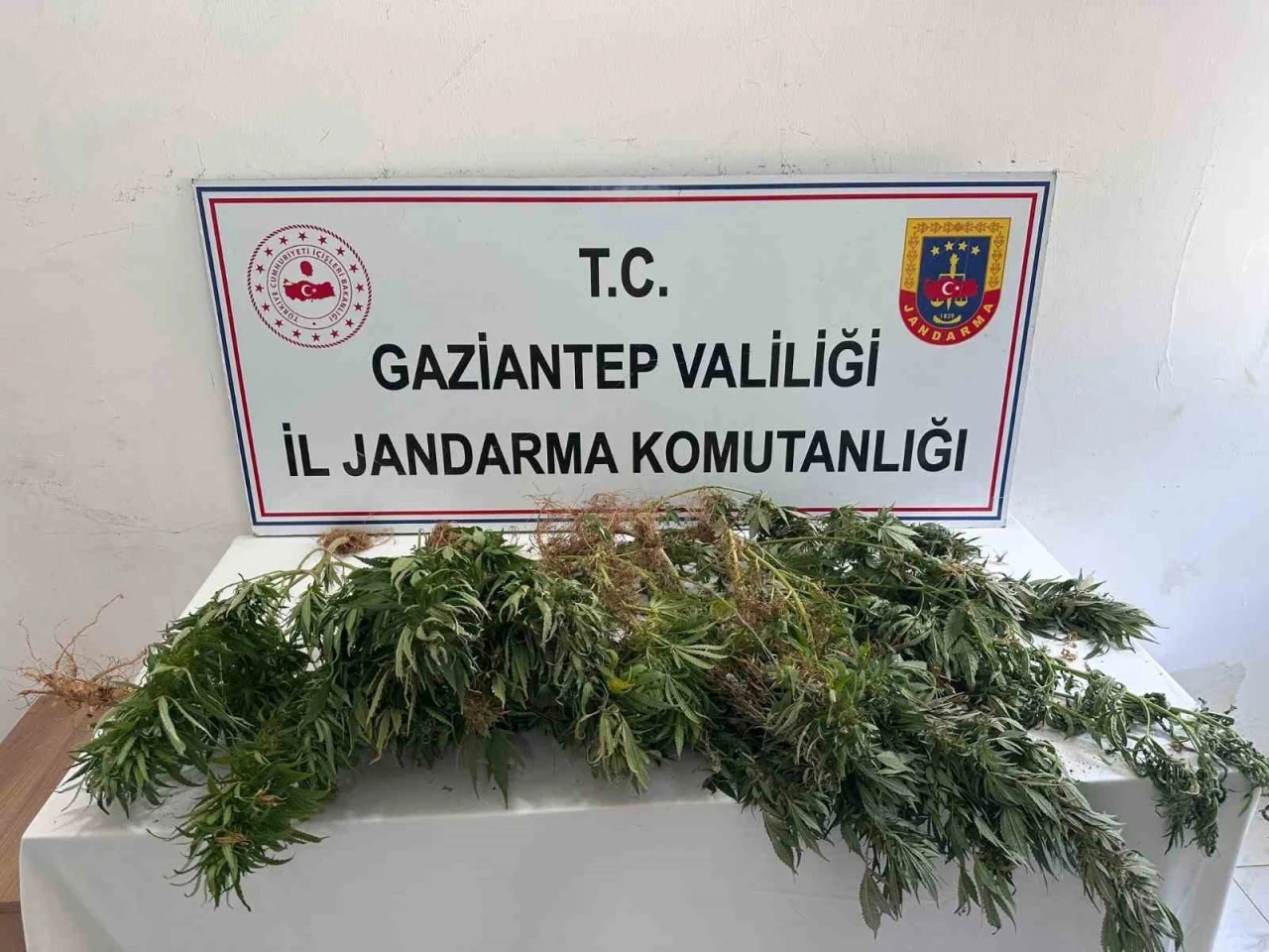 Gaziantep jandarmadan uyuşturucu operasyonu
