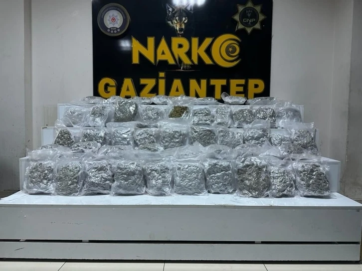 Gaziantep&rsquo;te 24 kilo skunk ele ge&ccedil;irildi
