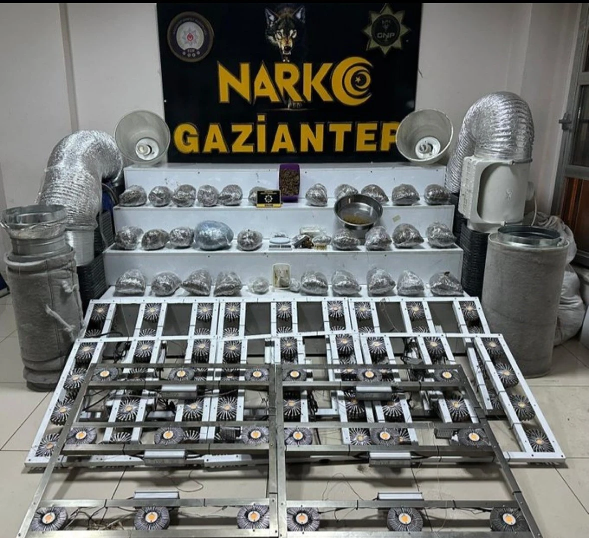 Gaziantep’te 32 kilo skunk ele geçirildi
