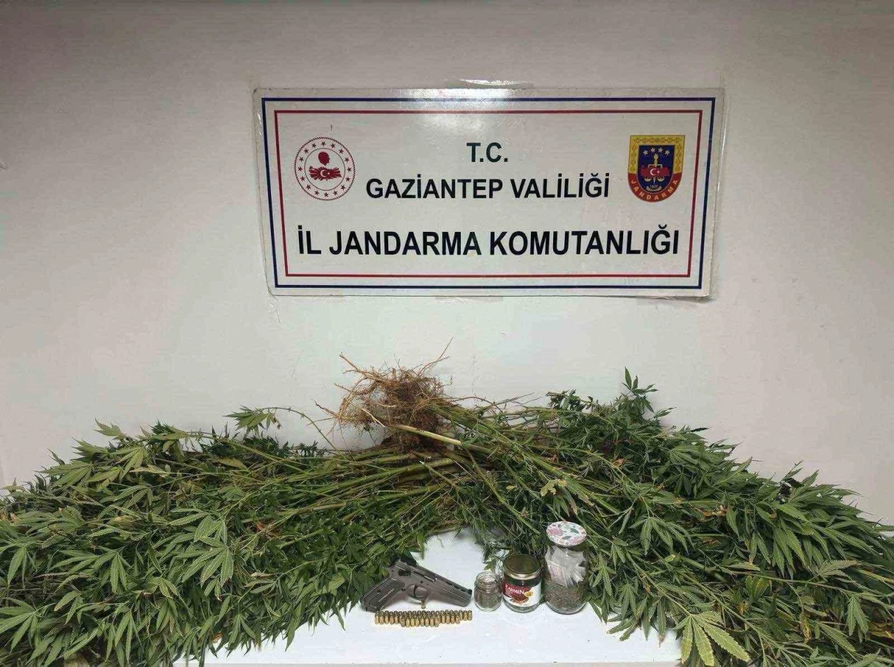 Gaziantep’te 5 kilo esrar ile 178 kök kenevir ele geçirildi: 4 gözaltı
